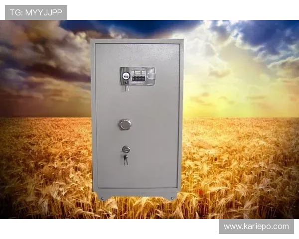 全面解析k8凯发国际入口的登录流程与常见问题解决方案